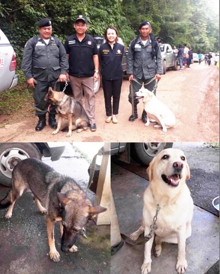1 ในทีมงาน ปฏิบัติภารกิจครั้งนี้ในถ้ำหลวง