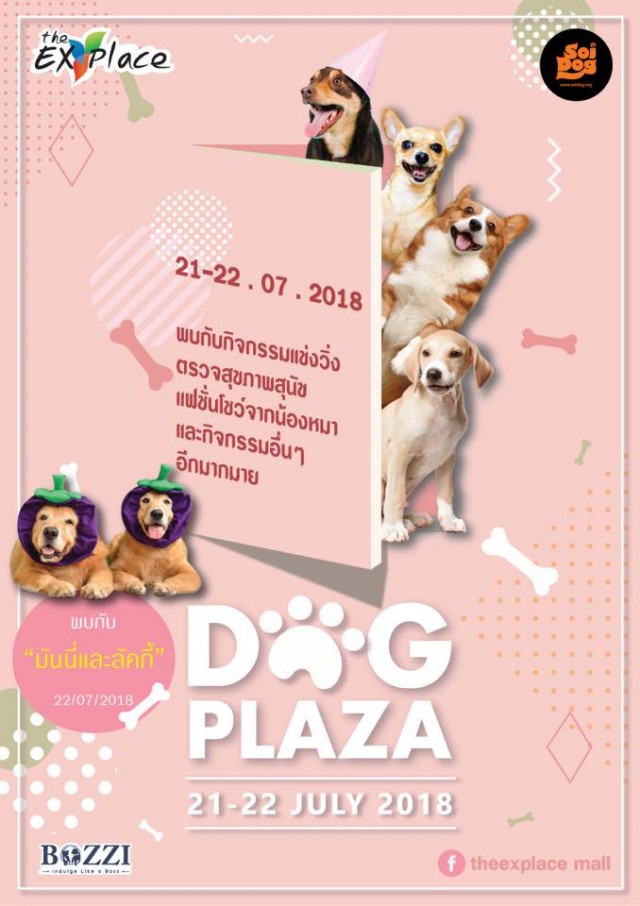 Dog Plaza 2018