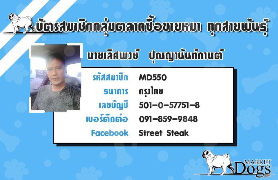 ขายเฟร้นบูลด๊อกเพศเมีย 3 เดือน