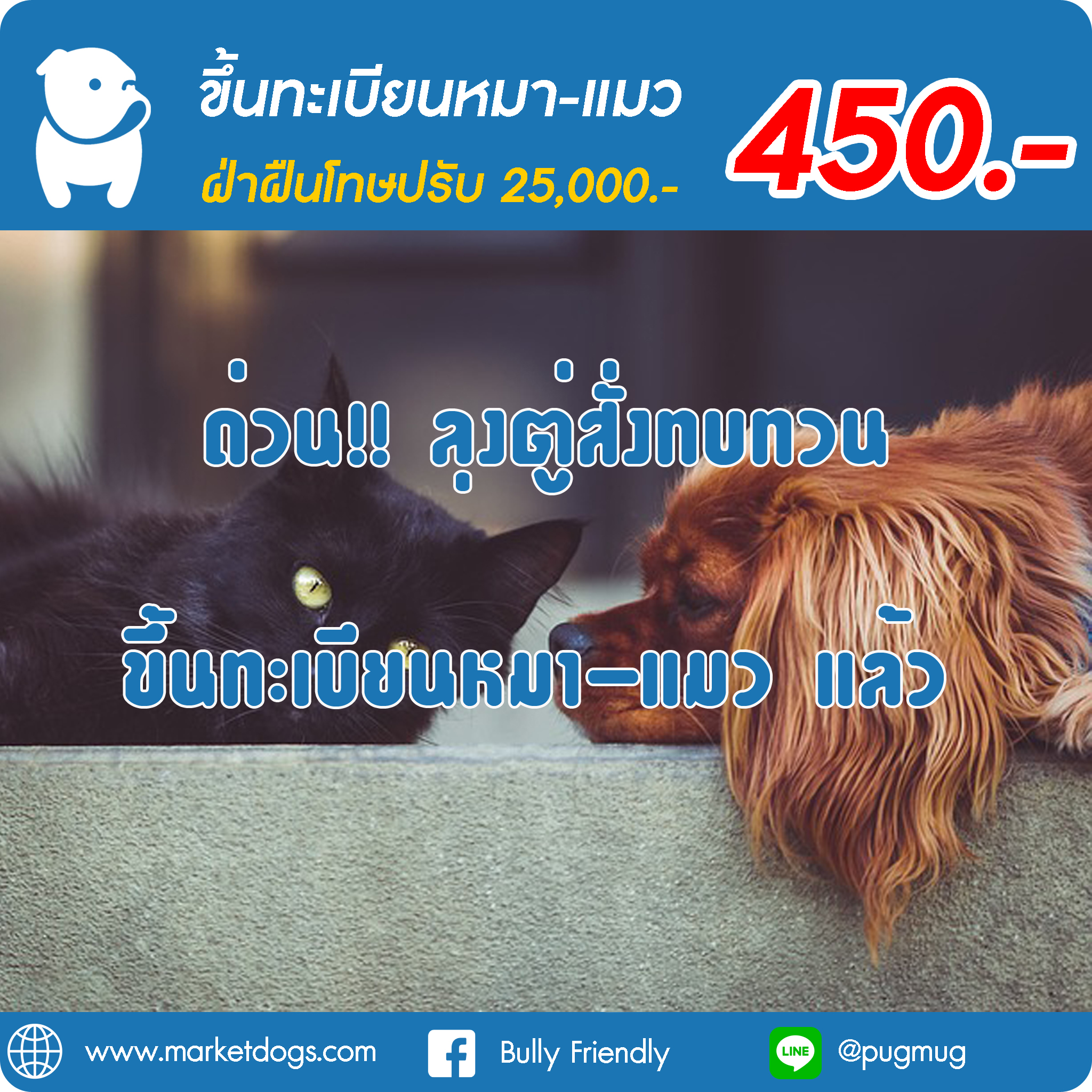 ด่วน ลุงตู่สั่งทบทวนขึ้นทะเบียนหมา-แมว แล้ว