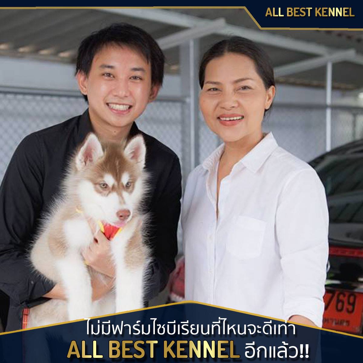 Allbest ฟาร์มไซบีเรียนคุณภาพอันดับ1ในไทย ที่มีสุนัขให้เลือกมากที่สุด