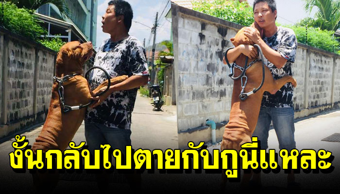 หนุ่มป่วย ต้องจำใจให้เจ้าตูบคนอื่น แต่สุดท้ายมันไม่ยอมอยู่กับใครเลยนอกจากเจ้าของ