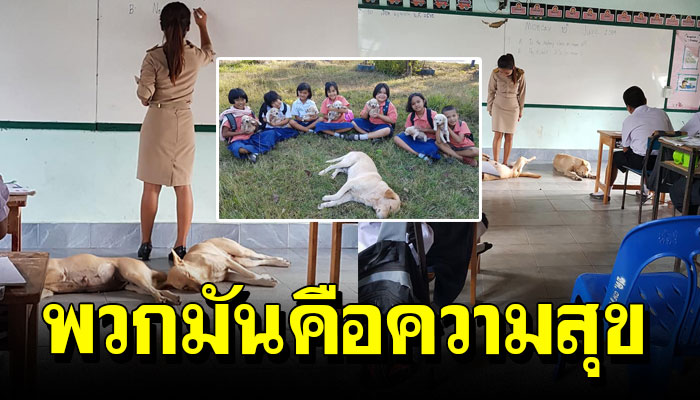 ครูสาวแชร์เรื่องราวสุดน่ารัก เมื่อไปสอนที่โรงเรียนชนบท แล้วมีสุนัข 3 ตัว คอยติดต