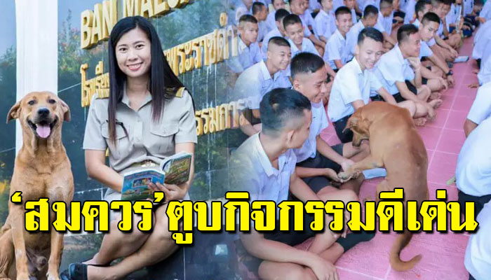 เปิดตัว ‘สมควร’ ตูบกิจกรรมดีเด่นแห่ง ร.ร. บ้านแม่สลิดหลวงวิทยาทุกงานขาดเขาไม่ได้