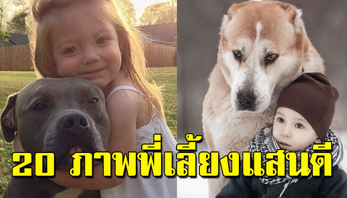 20 ภาพสัตว์เลี้ยงแสนดี ที่อาสารับบทเป็นพี่เลี้ยงให้ ‘หนูน้อย’ โดยไม่ต้องร้องขอ