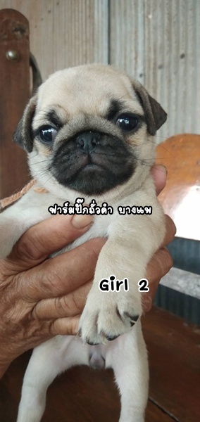 ชอบก็ทัก รักก็บอก  เบาๆ ..ปั๊ก