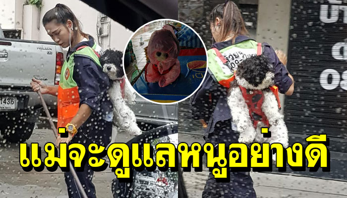 หนูมาทำงานกับแม่ “สาวกวาดขยะ” แบกน้องหมา ดูแลไม่ห่างกาย