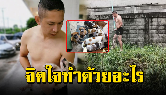 ตูบน้อยลอยตามน้ำมา 8 ตัว โชคดีเจอหนุ่มเข้าช่วยเหลือ คนเอามาปล่อยจิตใจทำด้วยอะไร