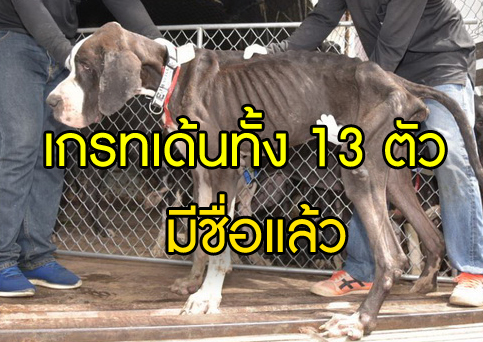 เกรทเด้นทั้ง 13 มีชื่อแล้ววว