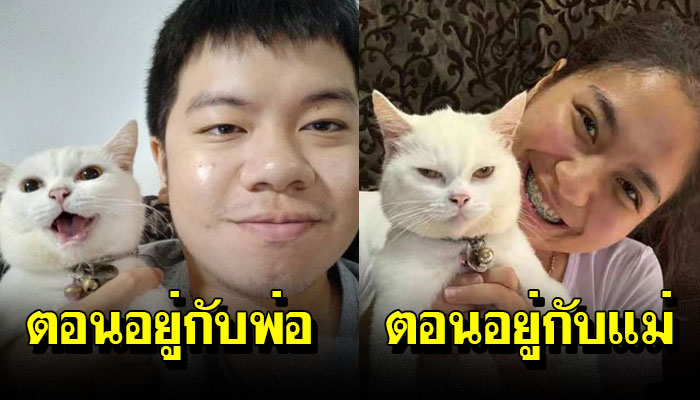 รักเราไม่เท่ากัน เหมียวสาวขี้เหงา พออยู่กับพ่อหน้าบานพออยู่กับแม่ทำหน้าบูด