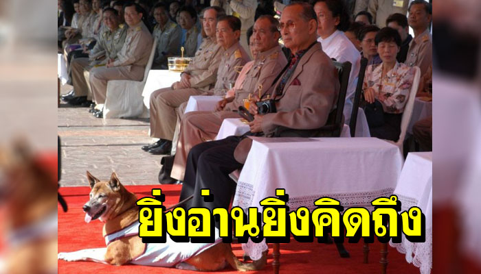 ยิ่งอ่านยิ่งคิดถึง เผยเรื่องราวความรู้สึก “คุณทองแดง” ยามคิดถึง “รัชกาลที่ 9”