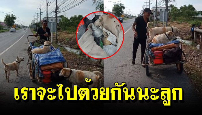 คุณลุงพาหมาเดินตากแดดลิ้นห้อย จากเชียงรายไปตราด เราจะสู้ไปด้วยกันนะลูก