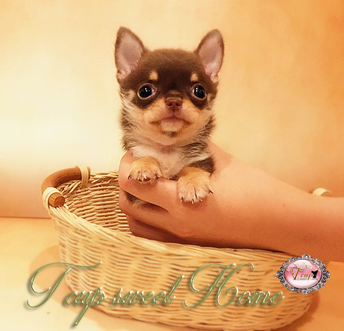 AMERIO