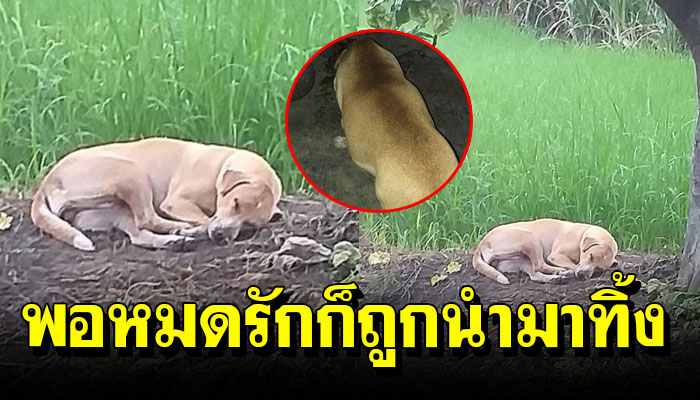 เพราะชีวิตมันเลือกไม่ได้.....