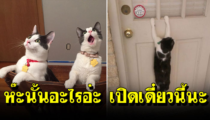 บางสิ่งบางอย่าง “เป็นครั้งแรก” ก็จะเป็นแบบนี้แหละ