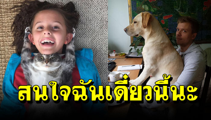 15 ภาพ การแสดงออกให้เห็นถึงการเรียกร้องความสนใจ สนใจฉันเดี๋ยวนี้นะ