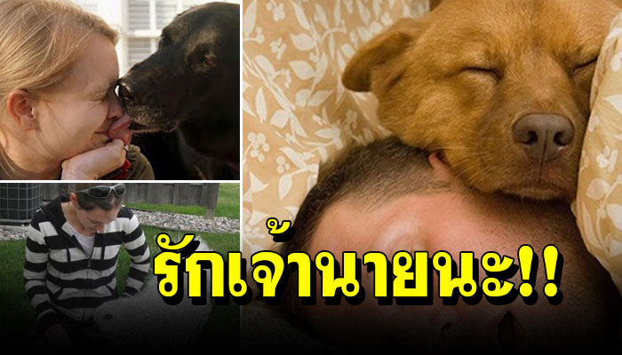 20 พฤติกรรมน้องหมาที่กำลังบอกว่า...รักคุณ