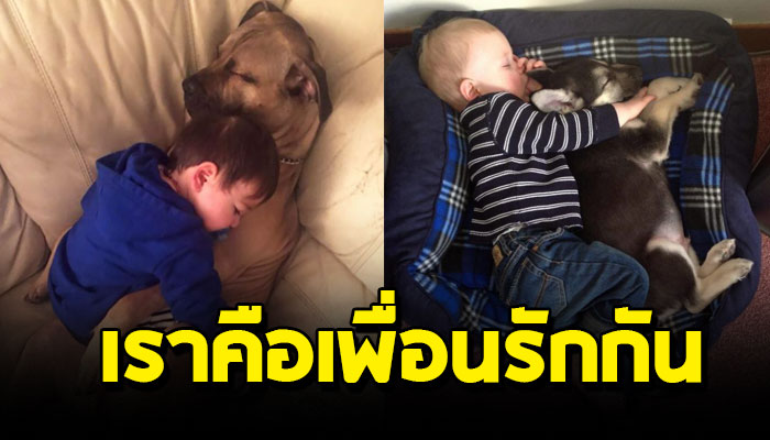 18 ภาพความน่ารักของ เจ้าตูบและเด็กน้อย ยืนยันว่าทั่งคู่เป็นเพื่อนรักกัน