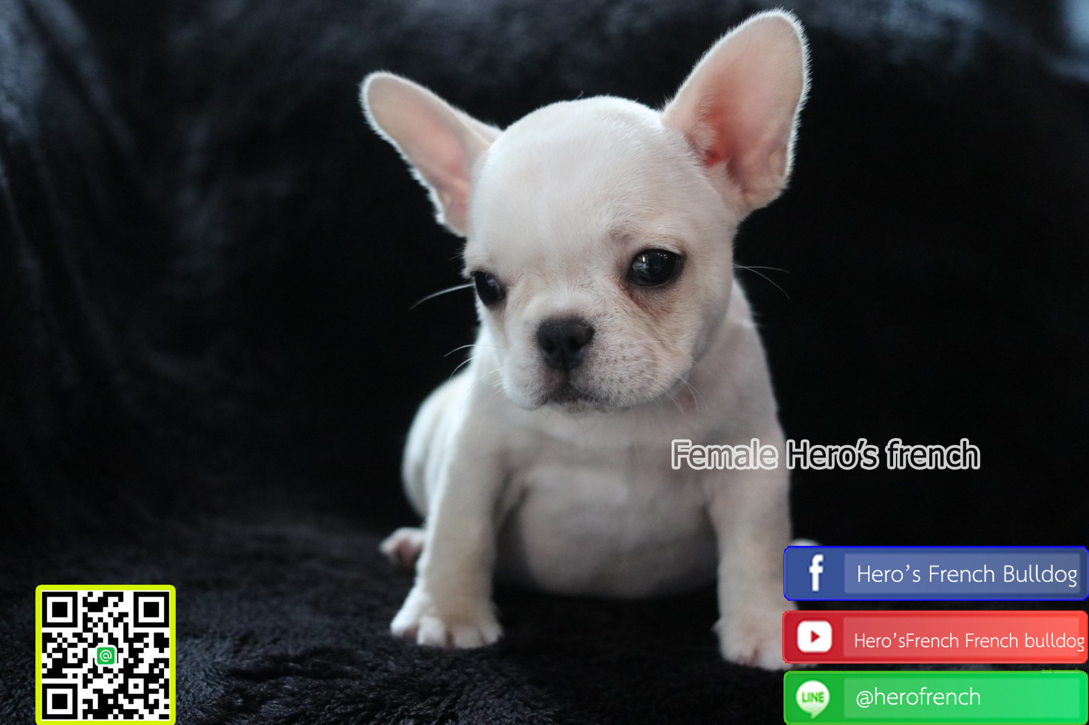 น้องรอบ้านใหม่