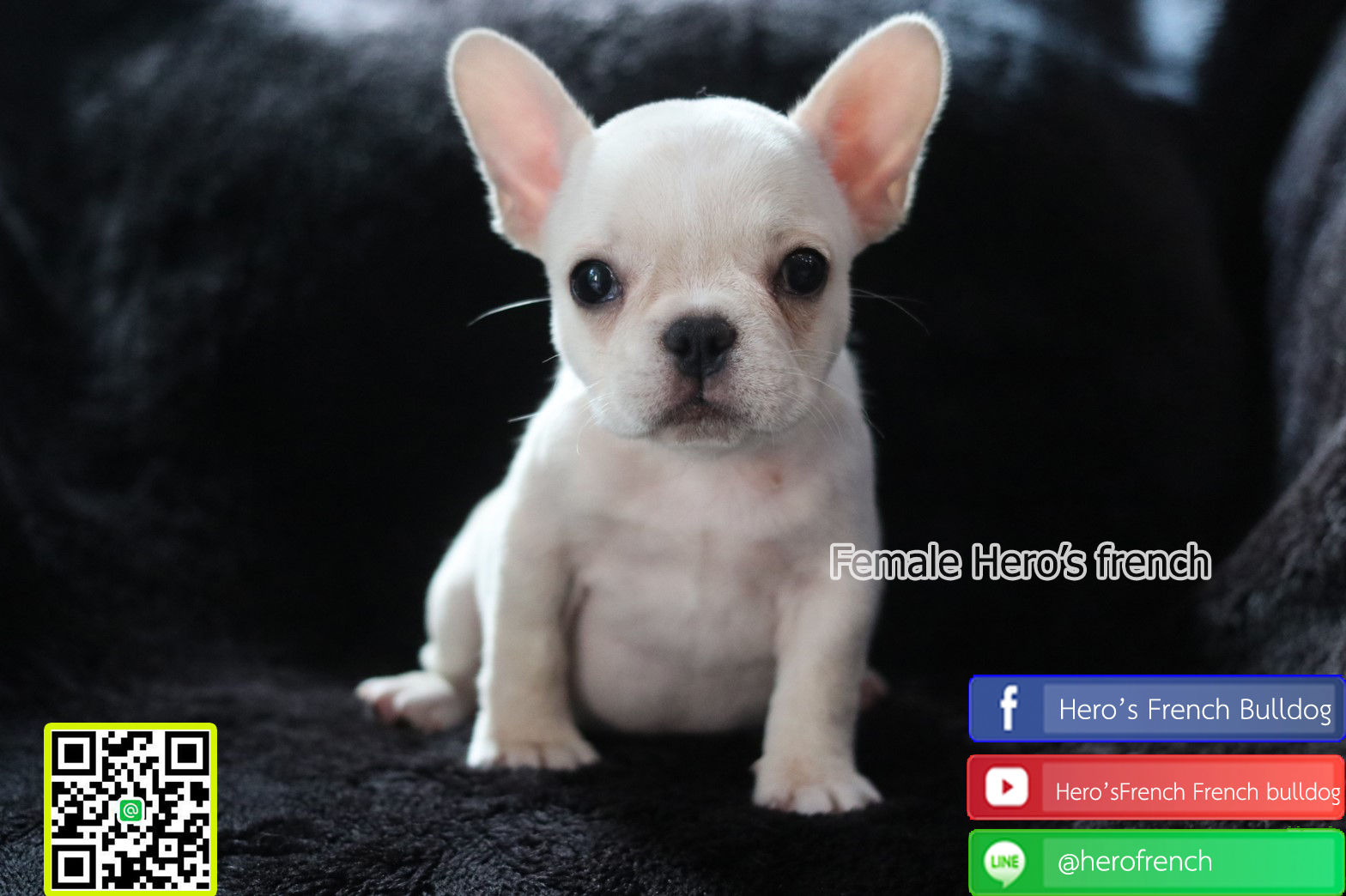 น้องรอบ้านใหม่