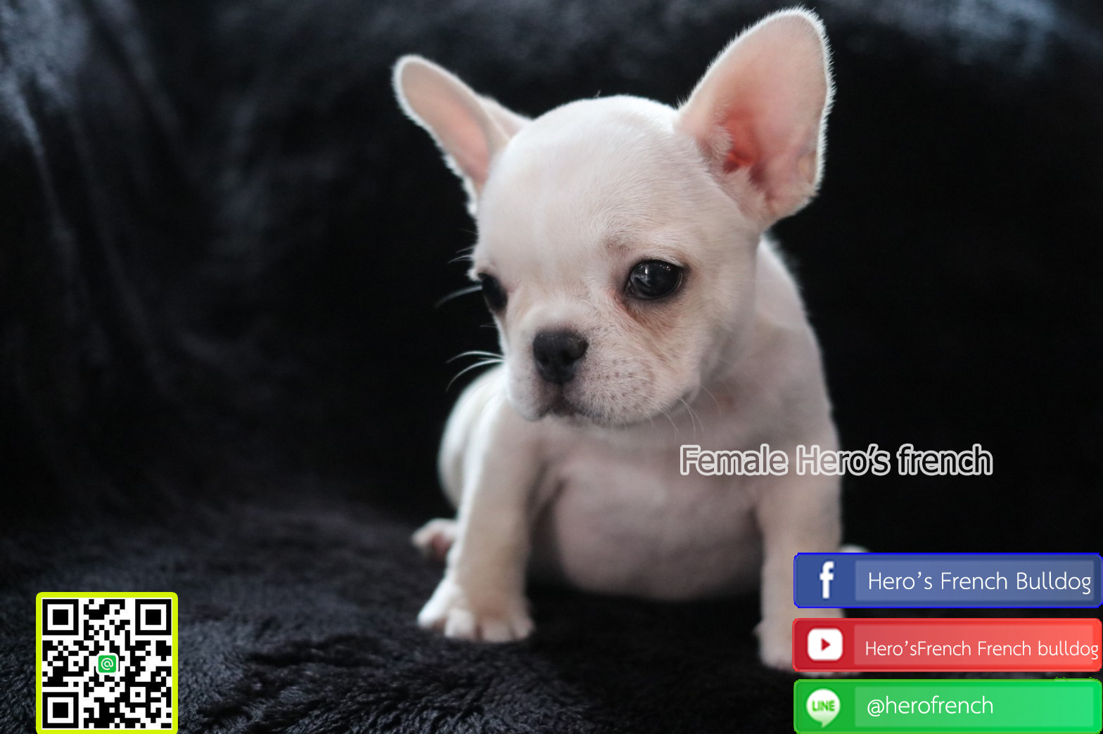 น้องรอบ้านใหม่