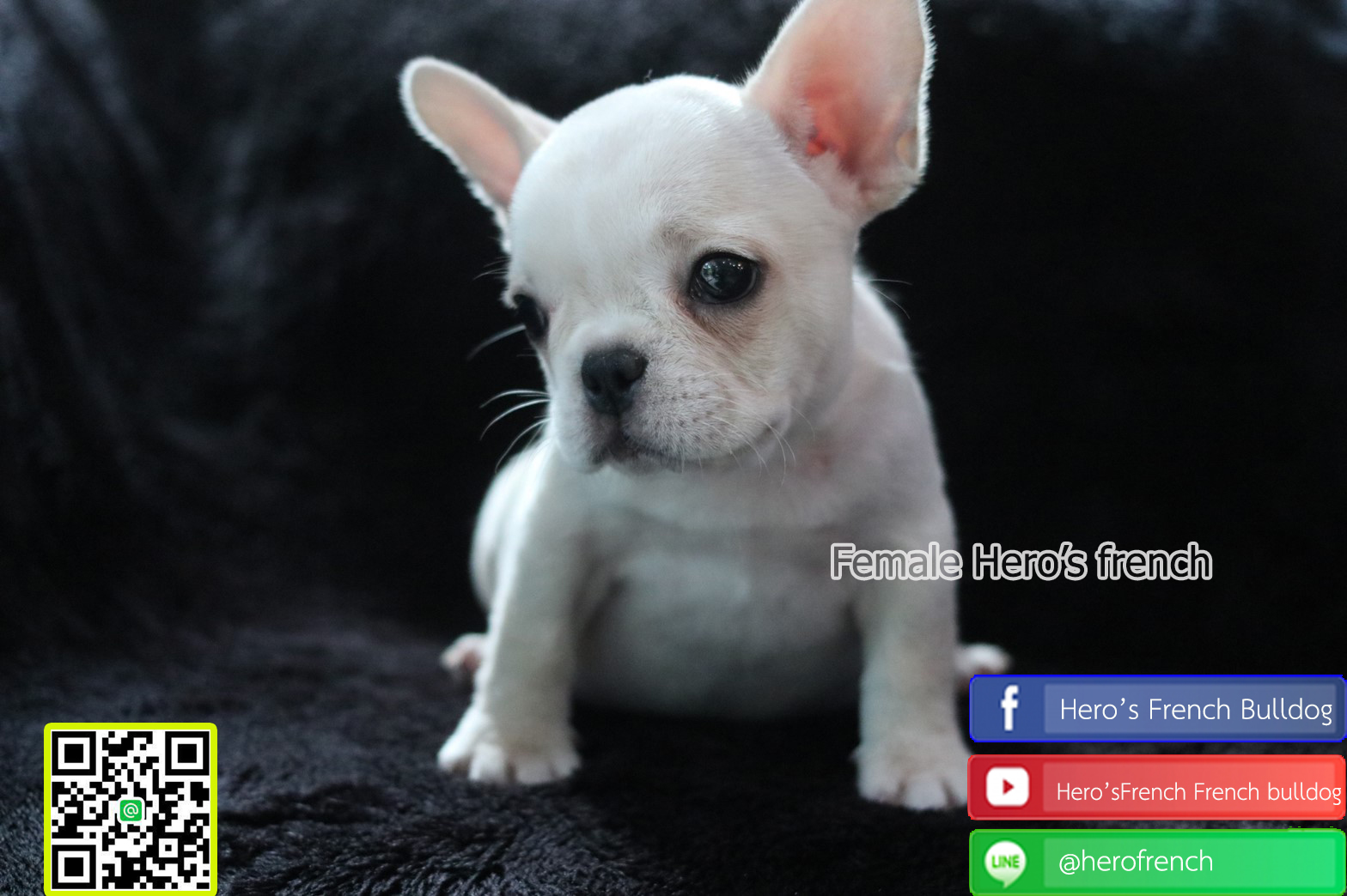 น้องรอบ้านใหม่