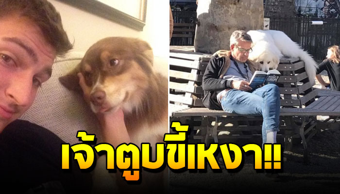 16 สัตว์โลกขี้เหงาที่จงอย่าได้คิดทิ้งเขาเอาไว้เพียงลำพัง