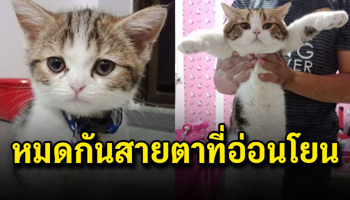 หมดกันสายตาที่เคยอ่อนโยน 10 เดือนผ่านไปสายตาของน้องก็ดูมองแรงขึ้นเรื่อยๆ