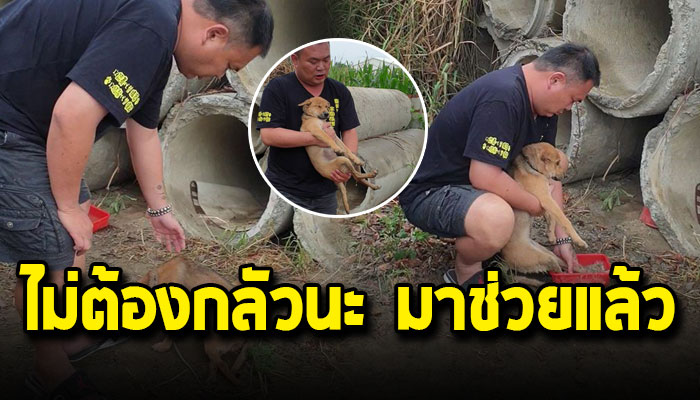 หนุ่มใจดีอาสาเข้าช่วยเหลือลูกหมาหิวโซ หลังรอเศษข้าวอยู่ในท่อซีเมนต์นับเดือน