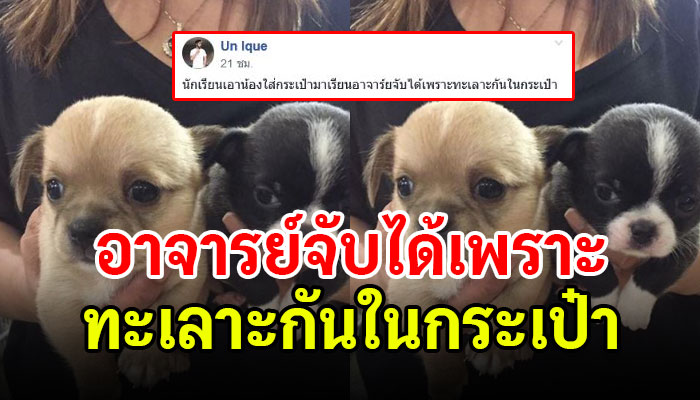 นักเรียนแอบเอาน้องหมา มาโรงเรียน อาจารย์จับได้เพราะน้องหมาทะเลาะกันในกระเป๋า