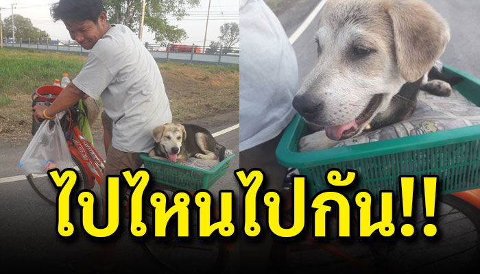 หนุ่มกาฬสินธุ์โดนนายจ้างเบี้ยวค่าแรง ปั่นจักยานกลับบ้านเกิดพร้อมเจ้าตูบคู่ใจ