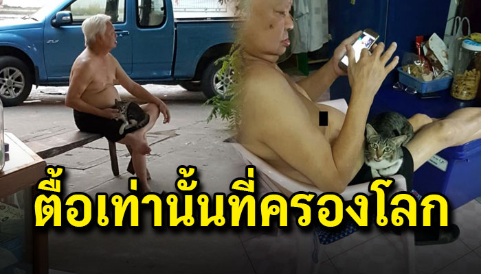 หนุ่มขอพ่อเลี้ยงแมวมา 4 ปีไม่เคยได้ แต่พอเจอแมวจรเข้ามาตื้อหน่อยไล่ไม่ไป รักสุดๆ
