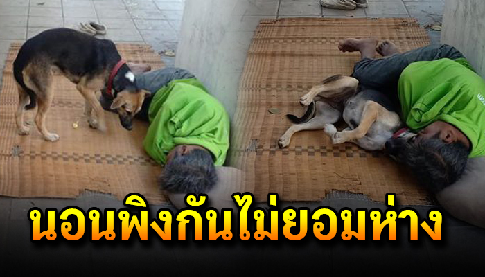 ลุงไร้บ้านกับสุนัขคู่ใจ เอาตัวผิงกันไว้เพื่อคลายหนาวถึงไม่มีแต่ไม่มีวันทิ้งกัน