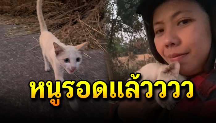 เหมี่ยวน้อยถูกทิ้งเพียงลำพัง ส่งเสียงร้องขอความช่วยเหลือ ใครก็ได้ช่วยชีวิตหนูที