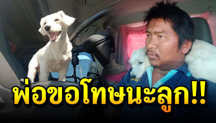จีจี้หมาน้อยรถบรรทุก คอยอยู่เคียงข้างกับเจ้าของ ถึงรถจะแคบแต่ก็มีความสุข