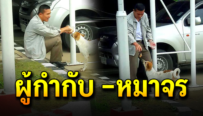 มุมอ่อนโยนของผู้กำกับ สภ. หลังมีหมาจรเดินมาขอข้าวกิน น่าเอนดูมาก