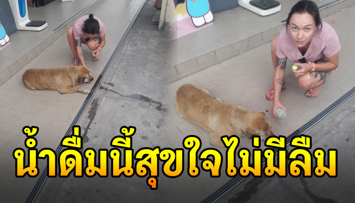 สาวรัสเซียมาเที่ยวเมืองไทยรินน้ำให้หมาจรหน้าเซเว่น