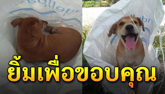 ยิ้มไม่หุบ ยิ้มได้ทั้งวันหลังน้องถูกใส่กระสอบ และมีสาวเข้าไปช่วย