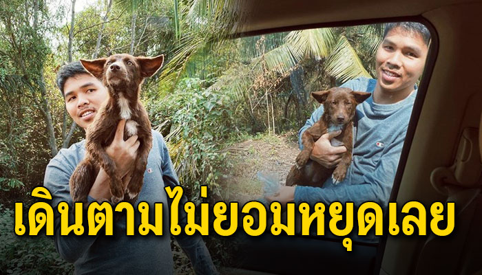 หนุ่มใจดีพบหมาจรเดินกินเศษขยะ ลองเอาหมูสะเต๊ะให้กินเท่านั้นแหละเดินตามไม่ยอมหยุด