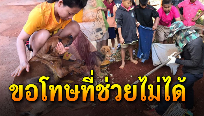 วันนี้โรงเรียนของเราเงียบเหงา มีแต่คราบน้ำตาเพราะคนๆเดียว