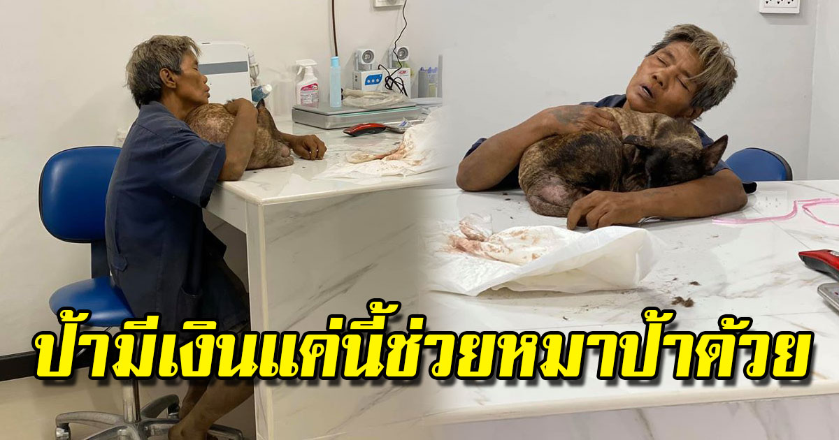 ป้าอุ้มหมาเดินเท้าเปล่ามาหาหมอกลางดึก ควักเงินก้อนสุดท้าย ลั้นช่วยหมาป้าด้วย