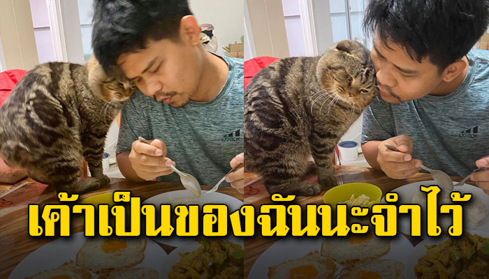 เจ้าเหมียวออเซาะอ่อยขั้นสุด จ้องตาเขม็งแสดงความเป็นเจ้าของ อย่ายุ่งกับคนของฉันนะ