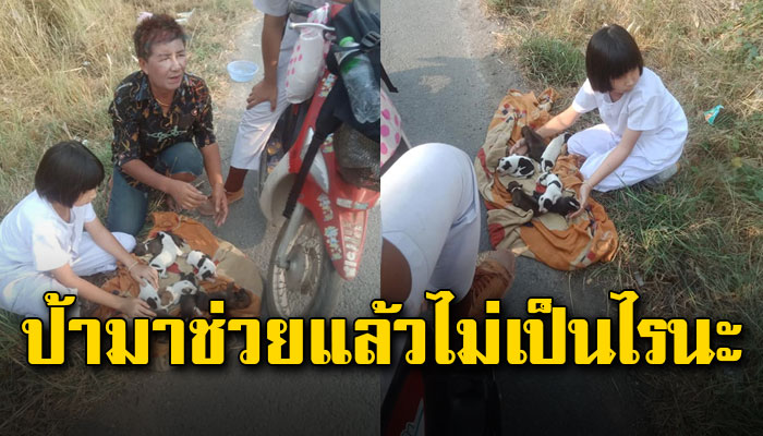 อุ้มลูกหมาวิ่งหนีไฟที่กำลังไล่เข้ามา หลังแม่หมาตกใจหนักเห็นไฟลุกไหม้คาบลูกหนี