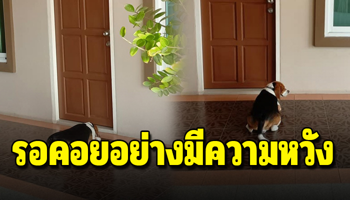 รอคอยอย่างมีความหวัง นอนรอก็แล้วนั่งรอก็แล้วหวังลึกๆว่าคนข้างหลังประตูจะจำกันได้