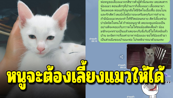 สาวขอแม่เลี้ยงแมวแต่ถูกปฏิเสธ ตัดสินใจส่งคำร้องขอพ่อผู้ที่ขอยากที่สุด