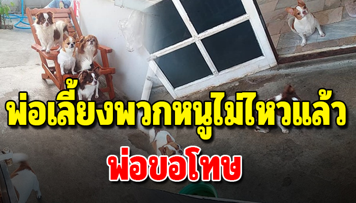 ผมร้องไห้จนหมดแรง จำเป็นต้องยกหมาทั้งบ้านให้คนอื่น เพราะพิษของเศรษฐกิจ