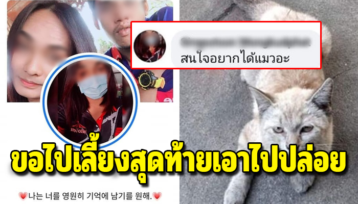 ตามทักไปทั่วขอแมวเขามาเลี้ยง พอไปส่งให้กลับเอาน้องไปปล่อยตั้งแต่วันแรก