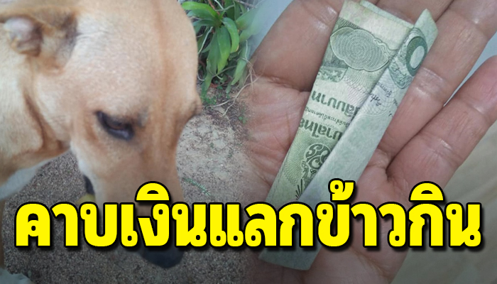 ตูบเจ้าของบ้านรวยมีบ้านหลังใหญ่ กลับไม่ให้ข้าวกินคาบเงินแลกข้าวกิน