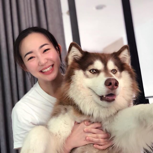 -หยุดเสี่ยงกับไซบีเรียนฮัสกี้ ไม่ได้คุณภาพ Allbest kennel ให้เราดูแลคุณสิครับ