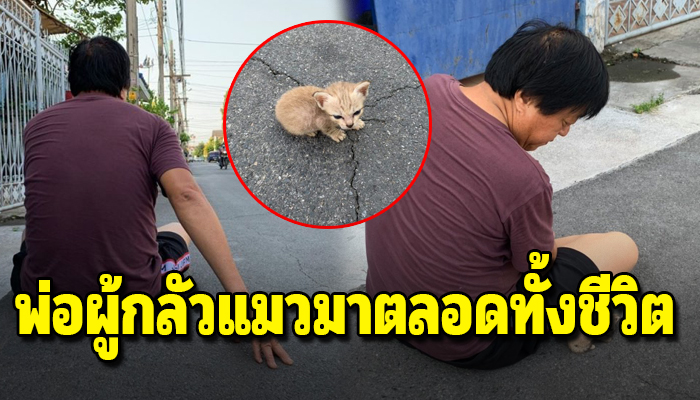 พ่อผู้กลัวแมวมาตลอดทั้งชีวิต แต่ปัจจุบันเล่นกันกระหนุงกระหนิงลืมไปเลยว่าเคยกลัว